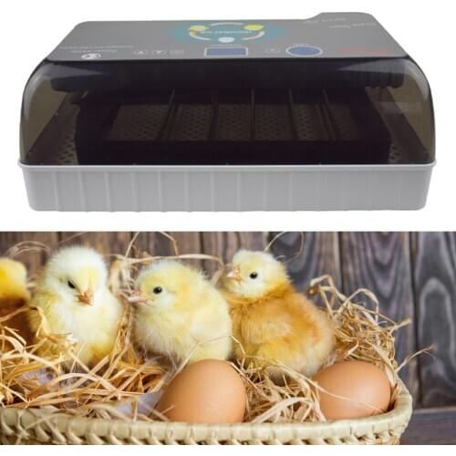 Egg Incubator Fully Automatic Led Egg Hatcher for Chicken Duck Quail Eggs