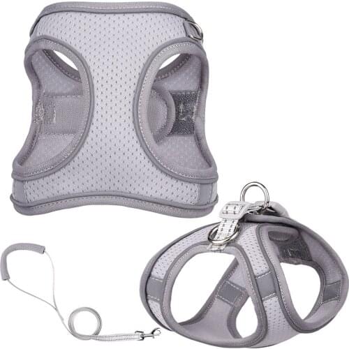 Soft Mesh Chest Strap Adjustable Adjustable Pet Dog Harness Vest Walking Training Lead Leash Breathable Harness With Leash