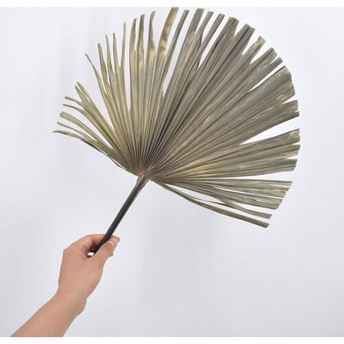 Pu Fan Large Dried Flower Palm Leaves Fan Dry Plant Palmett Fan Art Wall Decoration Shopwindow Home Wedding Party Decoration