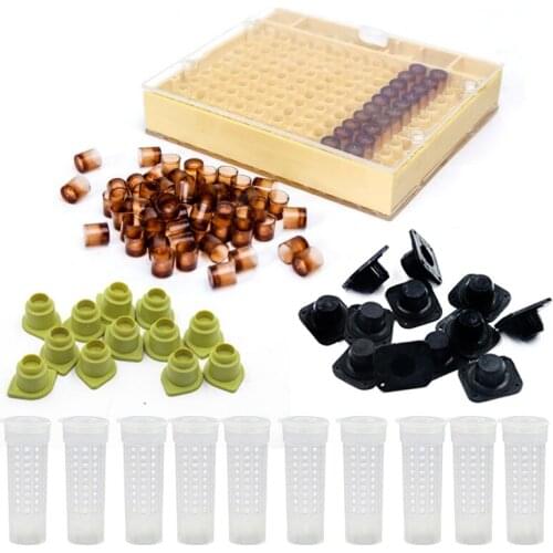1 Set Of Beekeeping Queen Bee Breeding System Box Educating Queen Beekeeping Tool And Beekeeping Equipment