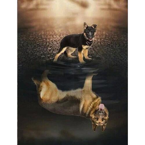 "German Shepherd"rhinestone pasted,cross stitch,full square&round diamond painting abstract,handcraft crafts,home decor FG1849