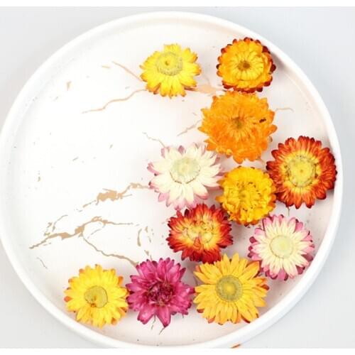 50PCS Daisy Chrysanthemum Dried Flowers Wedding Decoration Accessories Home Decor Diy Bookmark Card A Level Natural Gerbera Head