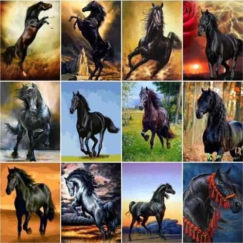 AZQSD Oil Painting By Number Black Horse Handpainted Modern Wall Coloring By Numbers Animal Handmade Room Decoration