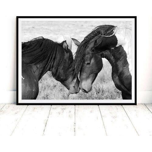 Wild Horse Art Canvas Painting Wall Picture Black And White Horses Photography Canvas Art Print Home Room Wilderness Wall Decor