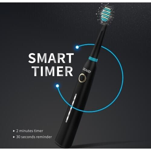 Sonic Electric Toothbrush Adult Timer Brush USB Rechargeable Electric Tooth Brushes SG958