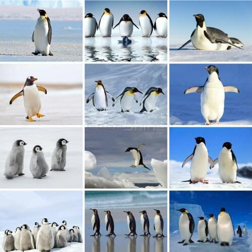 EverShine 5D Diamond Painting Full Drill Square Penguin Diamond Art Animals Embroidery Mosaic Sale Handicraft Gift Wall Decor