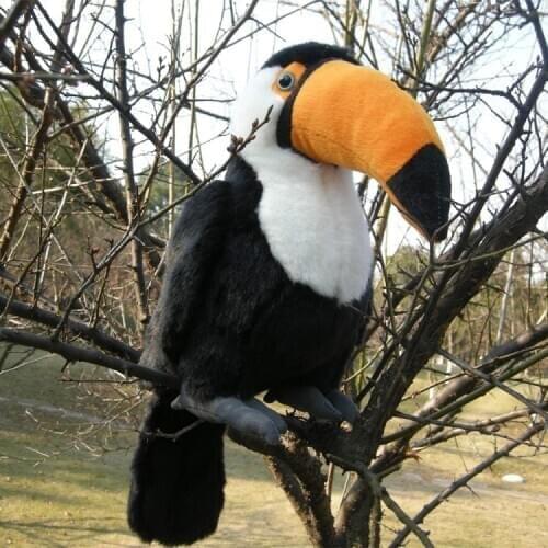 New plush Toucan toy lovely black bird doll gift about 24cm 2632