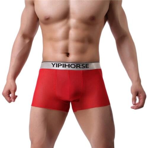 Sexy transparent mens underwear ice silk boxer-shorts for men ultra-thin male pants seamless men boxers