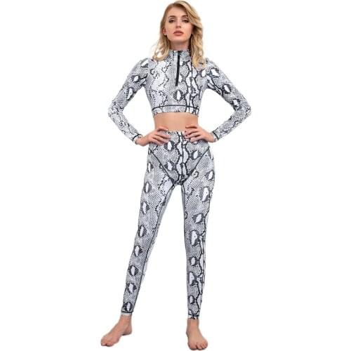 2021 Wholesale Printing Sexy Snake Two Piece Set For Women Sports Top And High Waist Legging Suit
