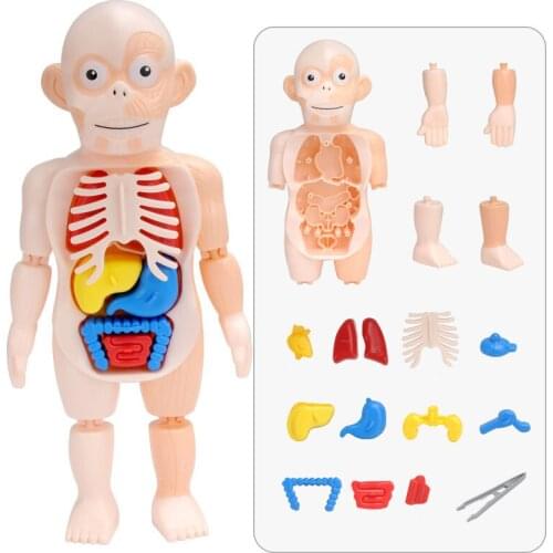 GSITKRH Montessori Toys