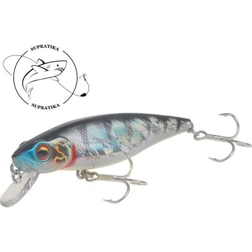 Artificial Minnow Floating 85mm/9g Fishing Lure Hard Bait 3D Eyes Anti-Corrosion Bionic Professional Plastic Fishing Bait