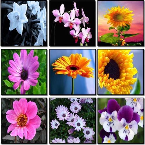 9 Style 5D DIY Diamond Embroidery Painting Flower Full Drill Diamond Mosaic Cross Stitch Pasted Painting DIY Home Decora Craft