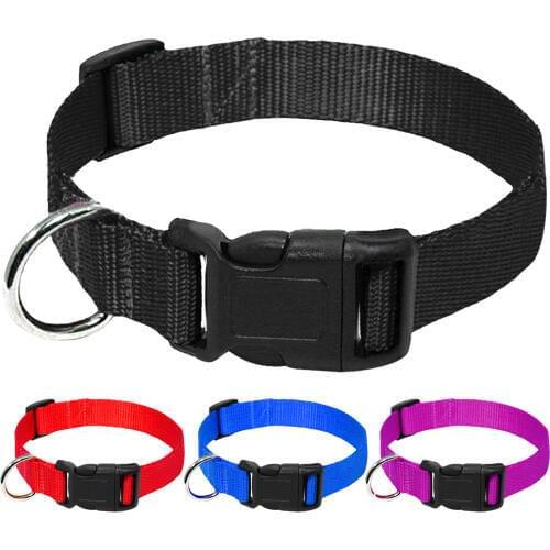 20pcs/lot Wholesale Nylon Dog Collar Cheap Adjustable Dogs Collars For Small Medium Pets Cats Red Blue Black Purple