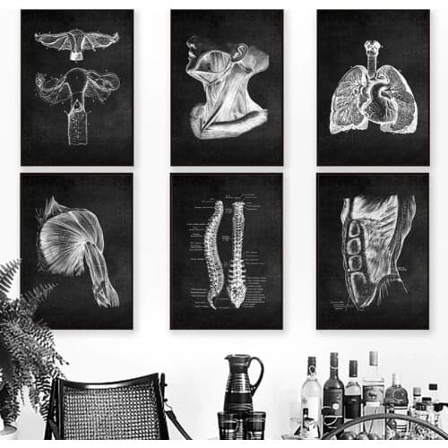 Abstract Human Anatomy Artwork Medical Painting Wall Art Picture Muscle Skeleton Education Poster Canvas Painting For Home Decor