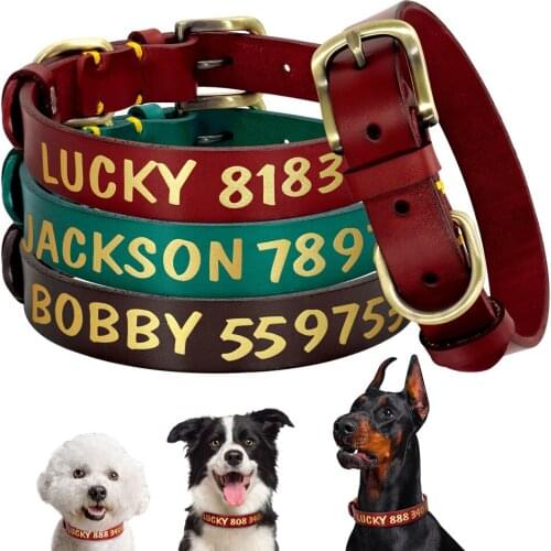Luxury Custom Dog Collar Personalized Leather Pet Dog Puppy Collars Leash Gold Brown For Small Medium Large Dogs Pet Accessories