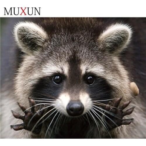 Full Diamond Mosaic Cross Stitch Raccoon Handcraft Gift Diy 5D Diamond Painting Embroidery Animal Series Art Wall Decor Rp108