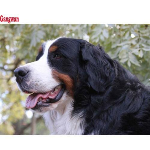 Bernese Mountain Dog Diamond painting Puppy crystal beads 5d embroidery cross stitch kits handwork animal mosaic new arrival