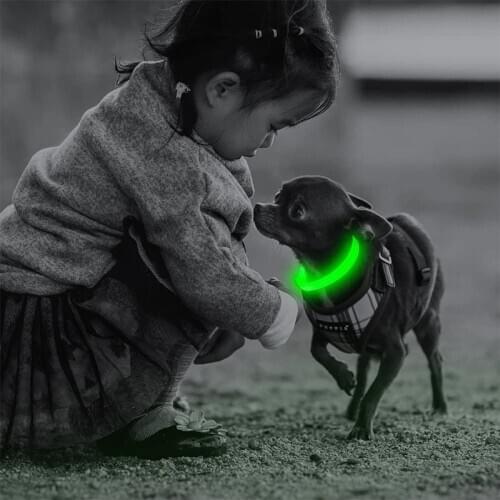 Leopard LED Dog Collar Luminous Adjustable Glowing Collar For Dogs Pet Night Safety Nylon Collar Luminous LED Bright Dog Collar