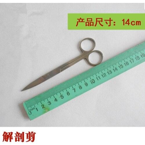 1pc Dissecting scissors 13.6 cm Teaching equipment Biological dissection equipment Teaching equipment