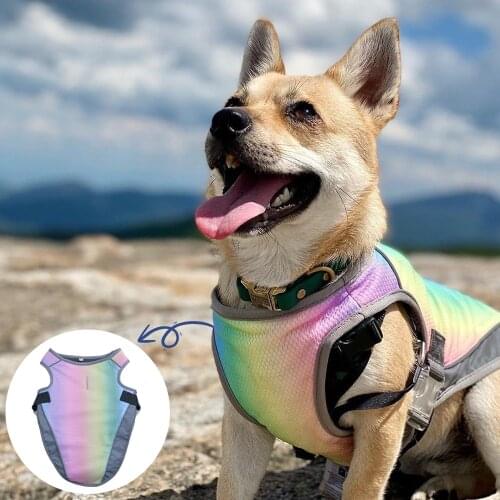 Cooling Vest Dogs Clothes for Small Large Dogs Vest Soaking Summer Clothes for French Bulldog Chihuahua Heatstroke Prevention