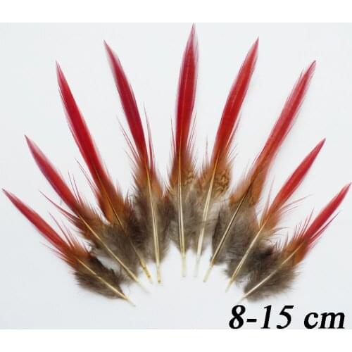 Wholesale 20 Pcs 8-15cm Natural Golden Pheasant Tail Feathers For DIY Crafts Home Christmas Decorations Cosplay Hat Accessories