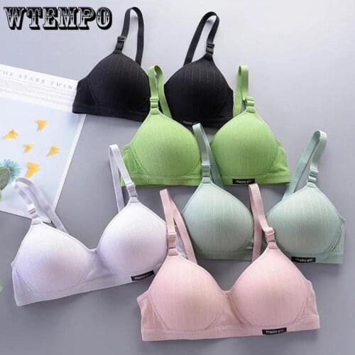 Girl Bra Wireless Pink Push Up Bras Thin Underwear Schoolgirl Gathered Seamless Kawaii Bralette Korean Simple Brassiere New