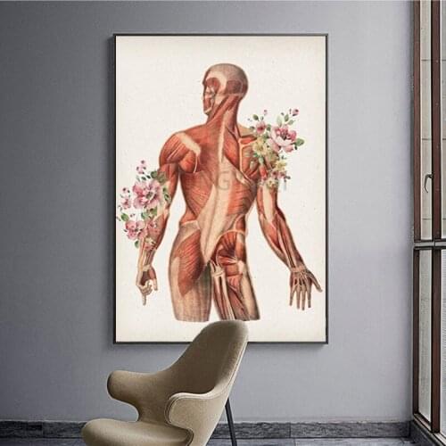 Flowers Organ Human Body Anatomy Medicine Wall Art Canvas Painting Nordic Posters And Prints Wall Pictures For Living Room Decor