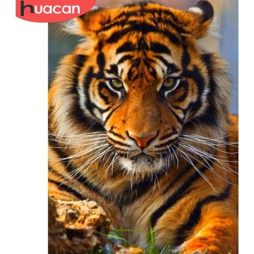 HUACAN 5D Diy Diamond Painting Tiger Diamond Embroidery Animal Mosaic Rhinestones Picture Decoration For Home