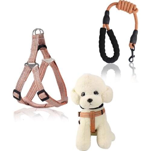 Dog Cat Harness Leash Adjustable Vest Collar Belt Puppy Outdoor Training Dog Accessories Small Medium Dogs Chihuahua Leashes