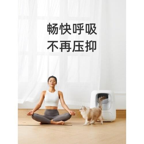 Cabinet Cat Litter Box Cleaning Enclosure Big Automatic Cat Litter Box Self Cleaning Pets Caja Arena Gato Cat Bedpans BG50CB