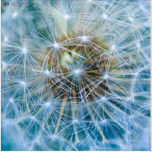 40Pcs M5*16 Stainless Steel Self-Tapping Screws For Kayaks / Canoes / Boats