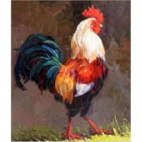 TOP Original ART oil painting # cock rooster art painting on canvas -100% hand painted OIL painting-accept custom painting 18