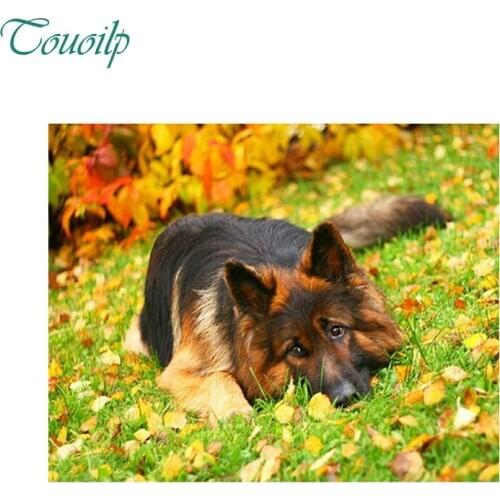 DIY Diamond Painting Cross Stitch dog pattern Needlework square Diamond Mosaic 3D Diamond Embroidery animal Painting Rhinestones