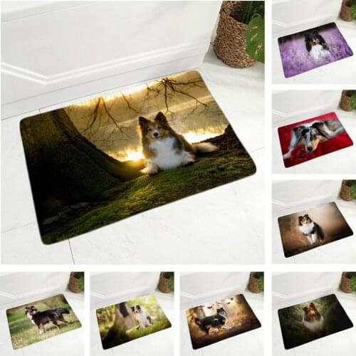 Shetland Sheepdog Floor Mat Flannel Carpet for Hallway Bedroom Dog Rug Door Mat Non-Slip Decor Pet Dog Animal Doormat 40x60cm