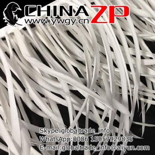 CHINAZP Factory Cheap Wholesale 10yards/lot Exporting Good Quality White Stripped Goose Biots Feather Trim