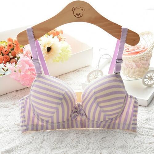 Sexy Lace Push Up Bra For Women Sexy Push Up Bra Young Girls Push Up Bra Underwear Gather Women Double Push Up Bra Sexy Gather