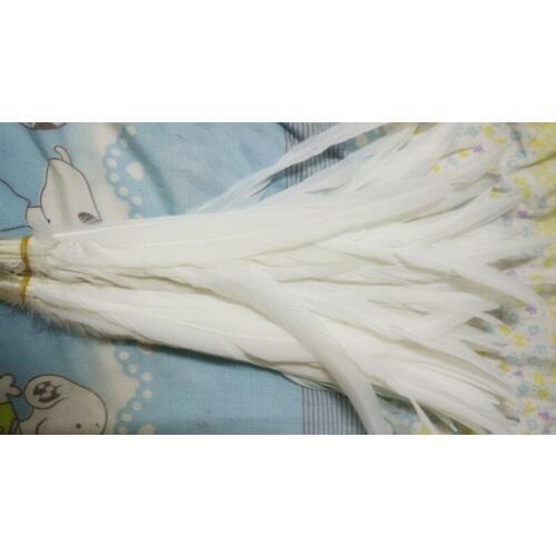 Wholesale 100pcs Natural pure white rooster tail feathers Collect diy good 30-35cm/12-14inch decoration wedding