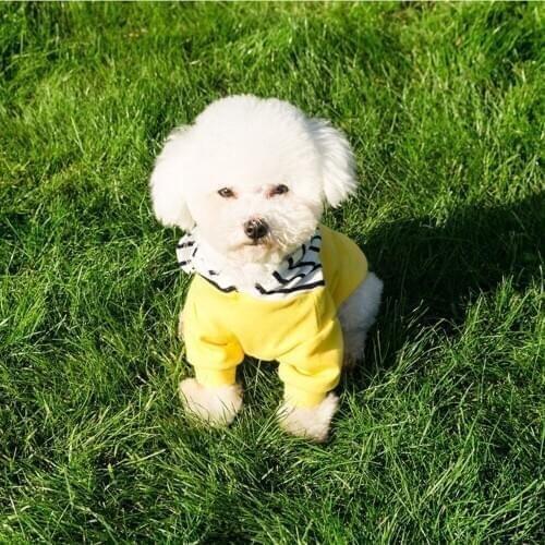 Pet Clothes For Dog Cat Puppy Hoodies Coat Winter Sweatshirt Warm Sweater Dog Outfits Dog Jacket Pet Two-Legged Clothes