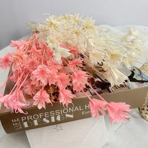 DIY Dry Eternelle Star Anise Flower Dried Flower Bouquet Marriage Wedding Floral Arrangement,Photography Photo Room Decoration