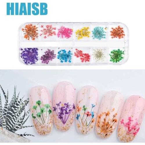 12 Colors Dried Flowers for Nails Art Decoration With Case Real Dried Flowers Accessories Nail Supplies for Professionals