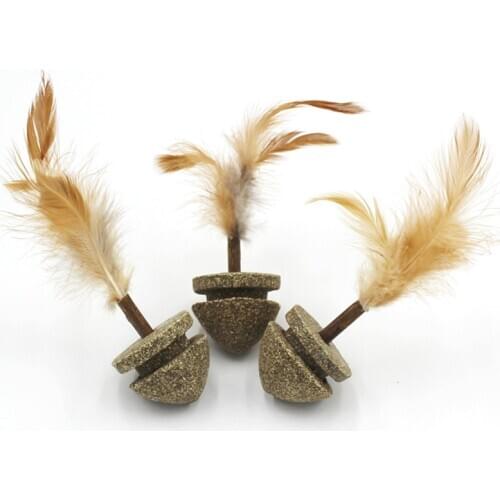 Cat Toy Catnip Vegetable Flavor Faux Feather Cats Toy Molar Toothpaste Cleaning Teeth Silvervine Cat Snacks Sticks Pet Supplies