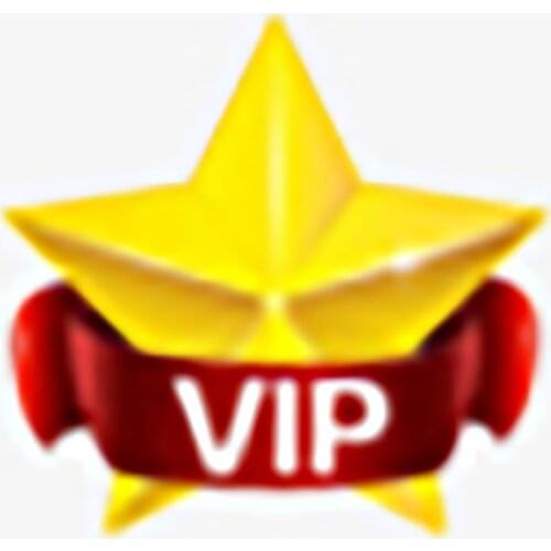 VIP 4 Books + Pen VIP 4 Livros + Caneta