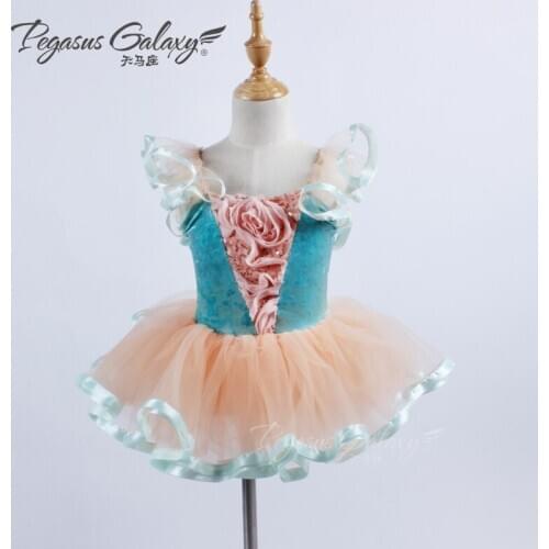 Ballet Tutu Dresses Adults Professional Gymnastics Leotard Swan Lake Dance Clothes Girls Pancake Children Ballerina Dress B-6296