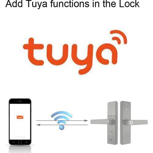 Tuya Function Upgrade Extra Payment For Our Lock R-FG5