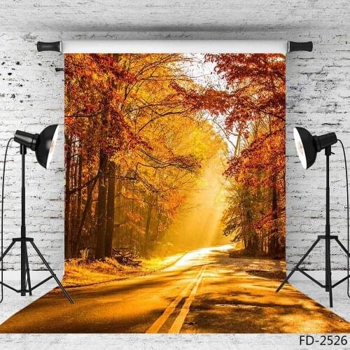 Road Sunlight Tree Vinyl Photography Backdrop for Wedding Lover Baby Children Background Photo Studio Photobooth Photo Shooting