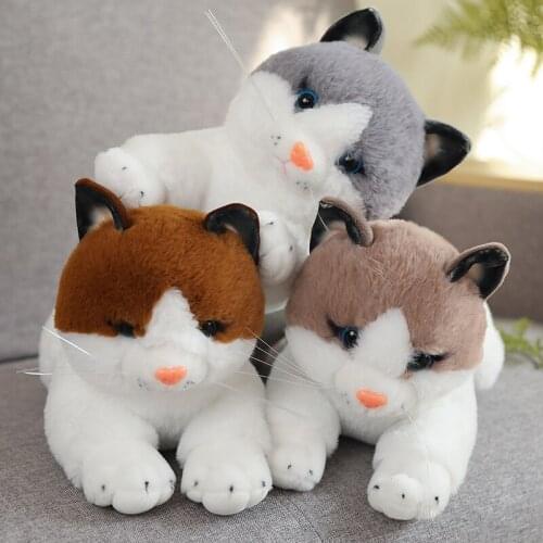 Kawaii Simulation Cat Toys Plush Toys Childrens Toys Baby Toys Stuffed Animals Educational Toys Childrens Birthday Gift Toys