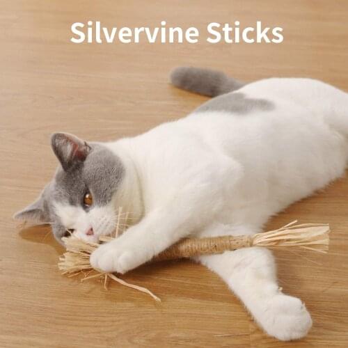 Yemoption Products For Cats