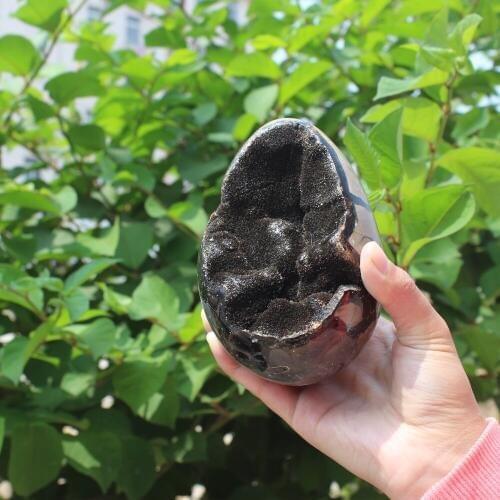 1100g Natural curvature of the furnishing articles Turtle grain stone egg Ball Septarian nodule Fossil Crystal Healing quartz