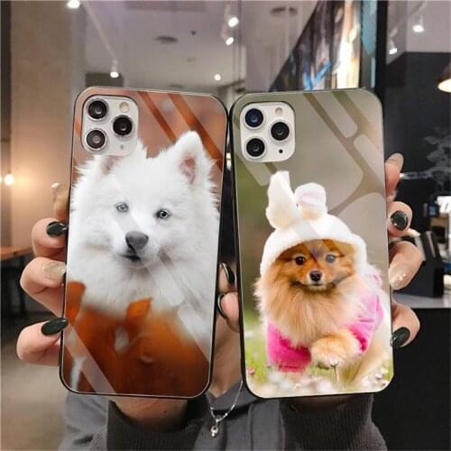 Japanese Spitz Dog Phone Case Tempered Glass For IPhone 12 Pro Max Mini 11 Pro XR XS MAX 8 X 7 6S 6 Plus SE 2020 Cover
