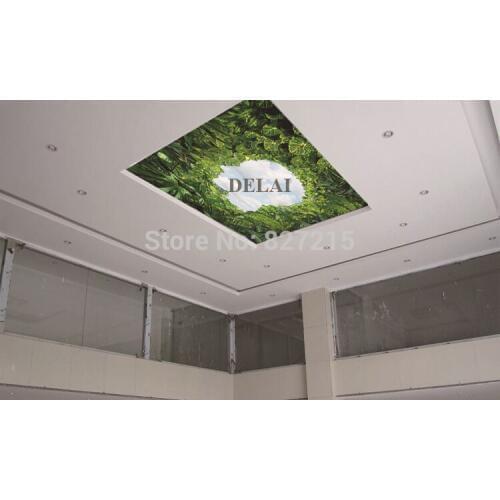 SKB-006 customized leaves and sky ceiling film for home ornament